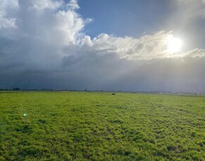 HubWatch &ndash; 12 September 2025