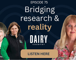 SDH on the Dairy Country podcast
