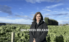 New Southern Dairy Hub General Manager Appointed