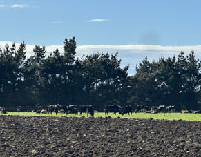 HubWatch &ndash; 21 November 2025