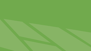 Harris et al. NZSAP 2021 81_86  - Effect of FB or kale on behaviour of R1s