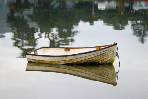 Update on Covid-19 Status