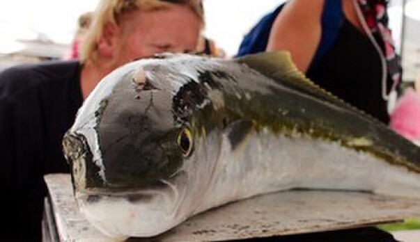 Ladies fishing Comp - Level 2