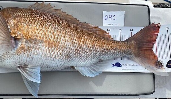 Stillwater &quot;River Ripper&quot; Measure Fishing Comp