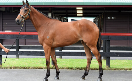 FIRA - LOT 38 SUPER SETH ex FIROSTEFANI Filly