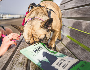 Why should my dog eat air-dried treats?