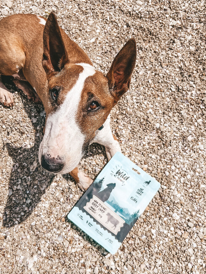 Beef Liver The Natural Nutritious Dog Treat of Choice Wild