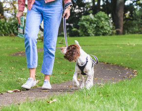 Pawsitive Reinforcement: Basic Training Tips and Treating Your Furry Friend