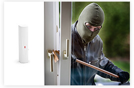 IQ Security Satel Alarm Detectors Intruder