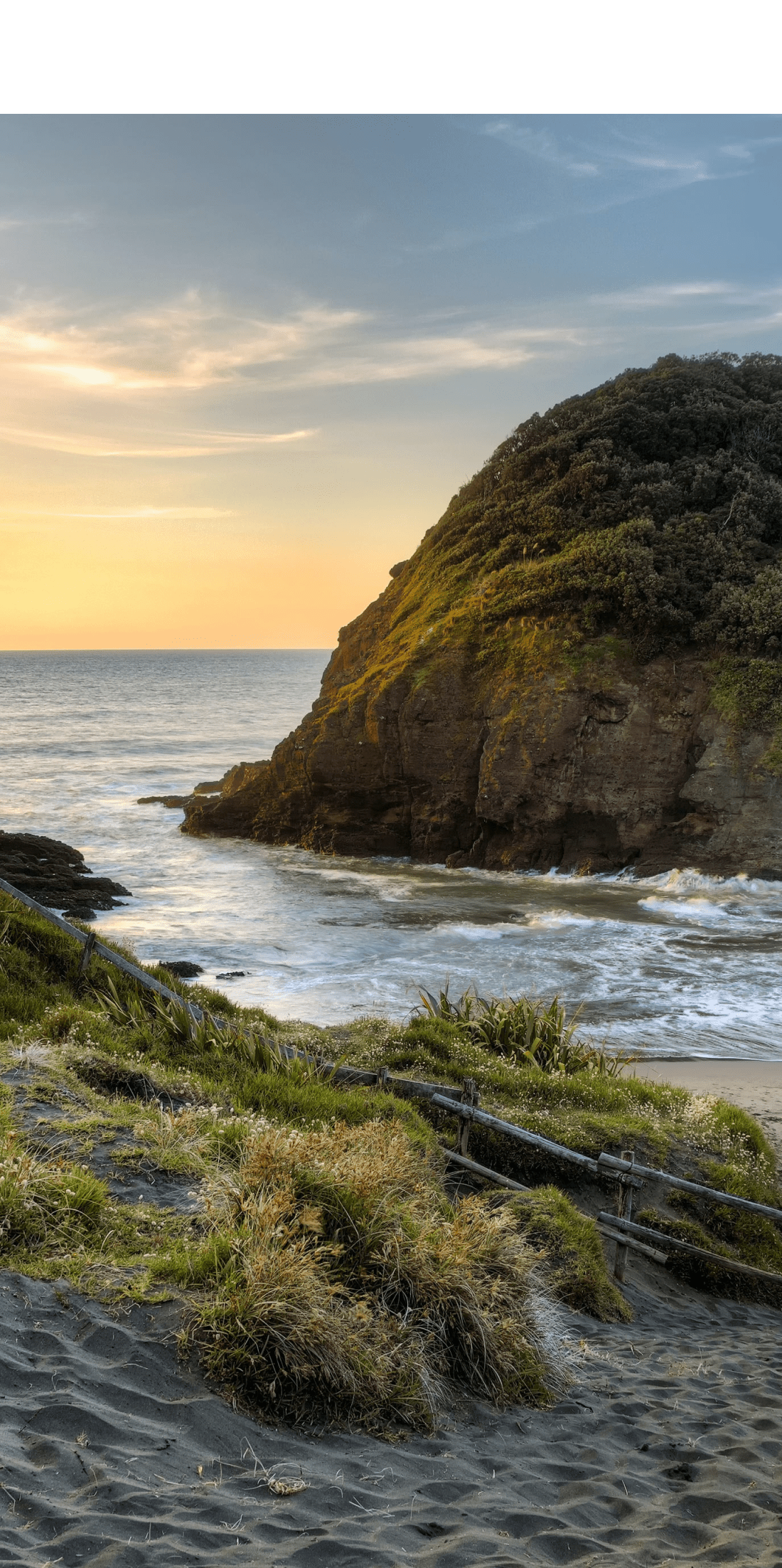 New Zealand Code | Buy New Zealand Made