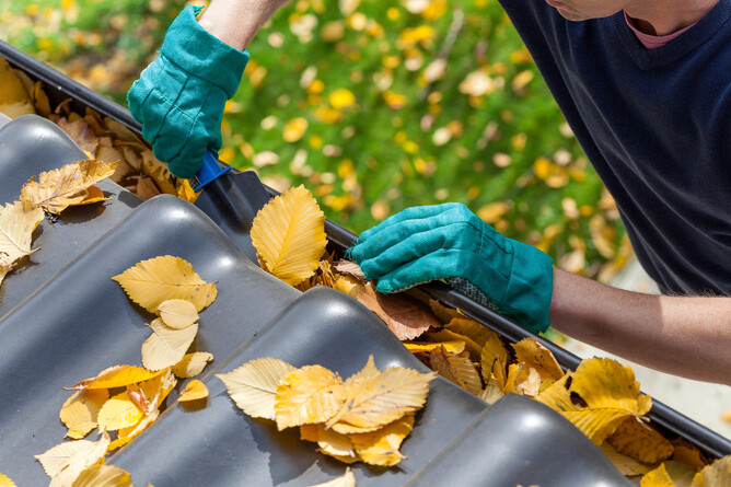 person clearing leaves from spouting on their roof