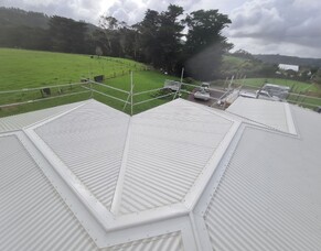 Why Metal Roofing is Best for Kerikeri's Coastal Properties