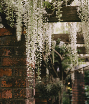 Magical Gardens - Stunning photo locations