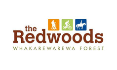 The Redwoods