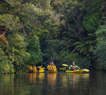 Build Your Own Tours | Cycle tours, kayak and glowworm kayak tours, walking and SUP options at Riverside Adventures Waikato