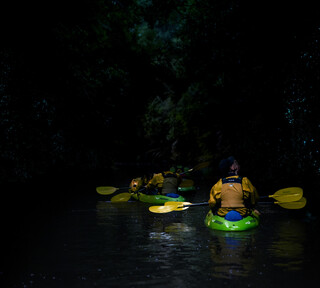 Kayak & Gloworm Tours | Twilight kayaking with Riverside Adventures Lake Karapiro Waikato