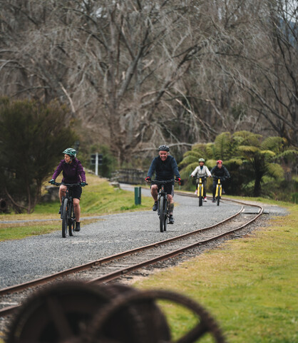 4-Day Bike Tour Hauraki Rail Trail | Riverside Adventures