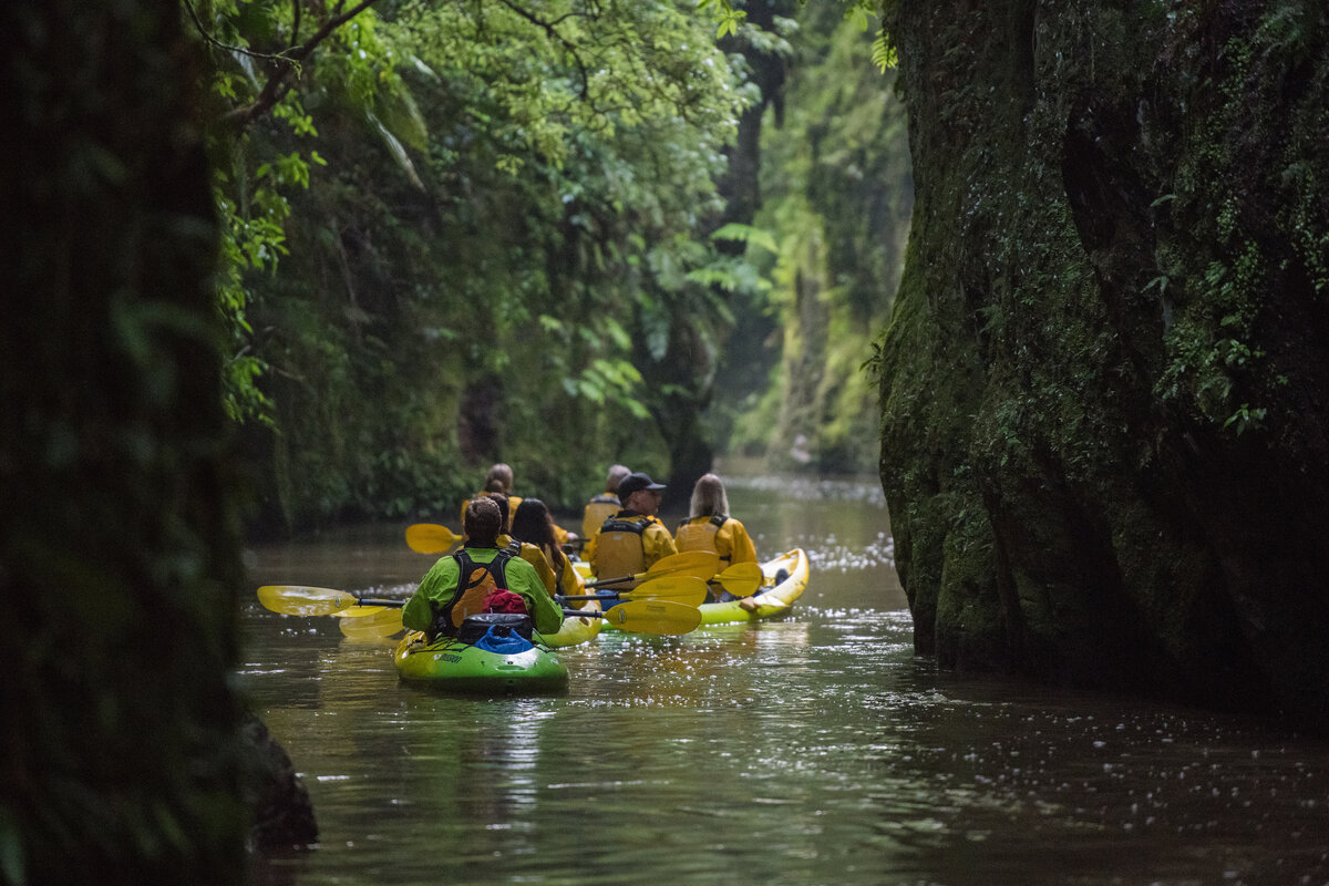 Day Guided Kayak Tours | Riverside Adventures Waikato