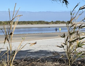 Kawatiri Coastal Trail - Charleston