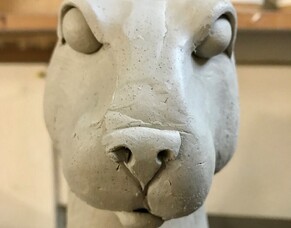 Potters' Press - 23 June 2021