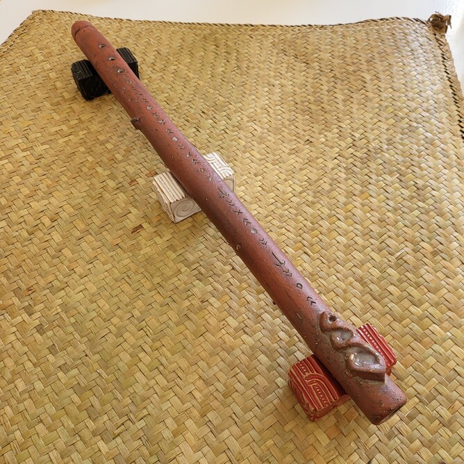 Reina Daji – Hinepikorua (pōrutu & stands)Winner of the CCG Emerging Artist Award