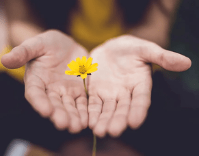 The Importance of Values-Based Leadership