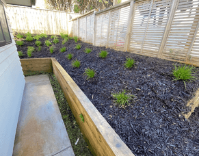 Preparing Your Soil for Spring: Tips for a Thriving Garden