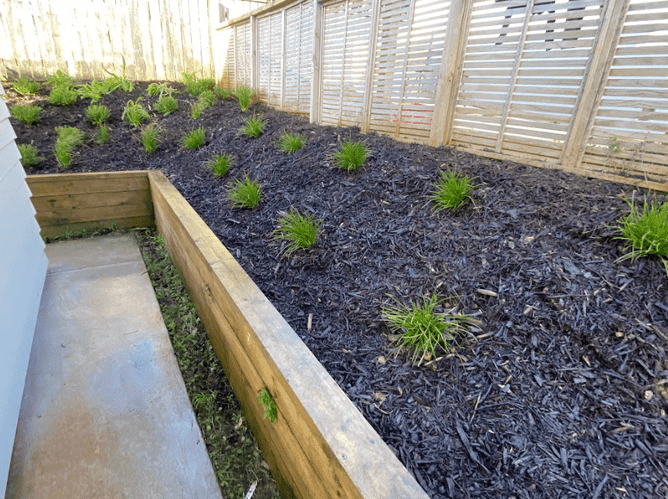 garden bed in Wellington in early spring. The garden bed is bordered by rustic wooden planks, and the soil is rich and dark, indicating its fertility and readiness for planting.