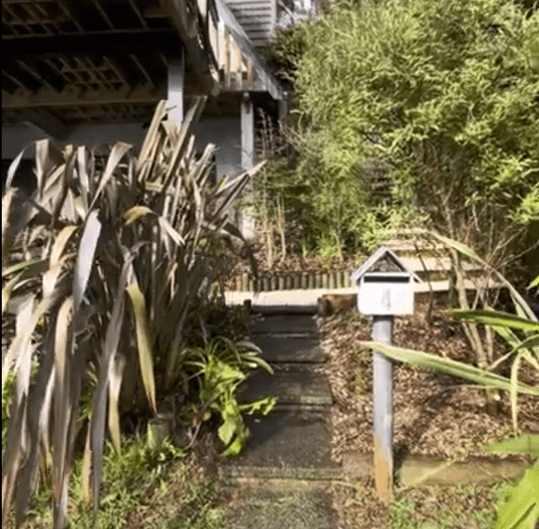Karori home with new garden path after recent garden design job