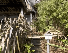 Garden Redesign in Karori: Expert Tidy-Up reveals Charming Hidden Pathway