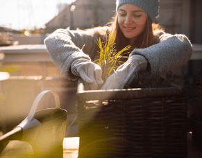 Winter Gardening: Keeping Pests and Diseases at Bay in Wellington