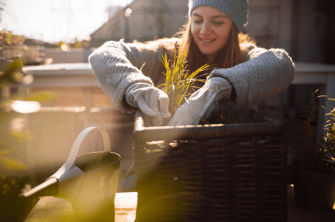a lady wrapped up in gloves and wooly hat tends to her plants and garden in the wellington winter weather