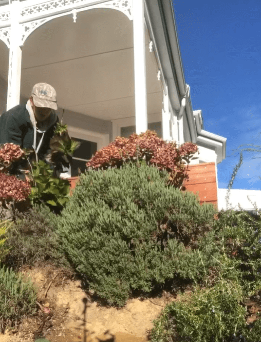 Oliver's Army Garden Team Planting at a home in Kelburn, Wellington