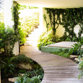 Path through the oasis