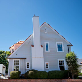 Muehlenbeckia clouds in front of Wellington home