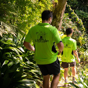 Team walking through a sea of Clivia'ss  