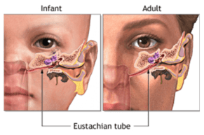 OSTEOPATHIC MANUAL TREATMENT FOR NEWBORN BABIES AT CITY OSTEOPATHS.