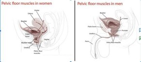 HOW TO IMPROVE YOUR PELVIC FLOOR WITH THE RIGHT EXERCISES