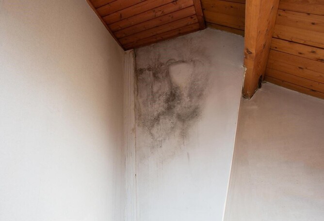 mould on interior wall caused by overflowing guttering