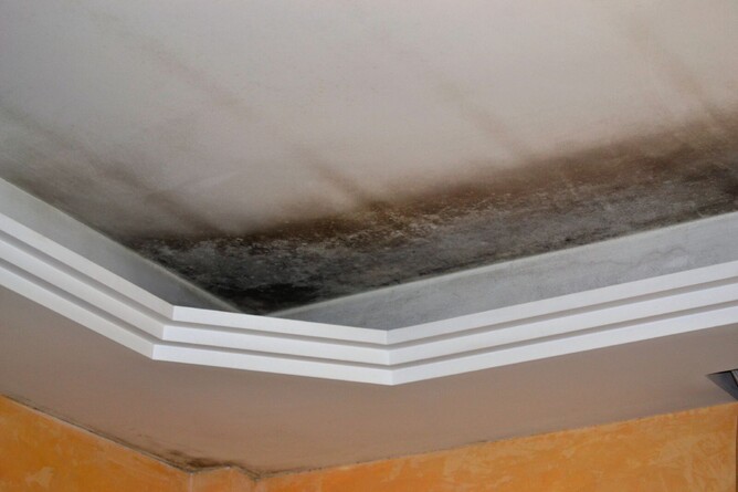 black mould on ceiling