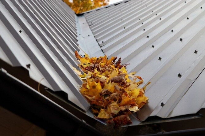 roof and gutters full of leaves