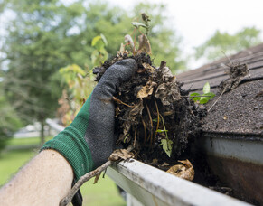 The Importance Of Gutter Cleaning In Hamilton