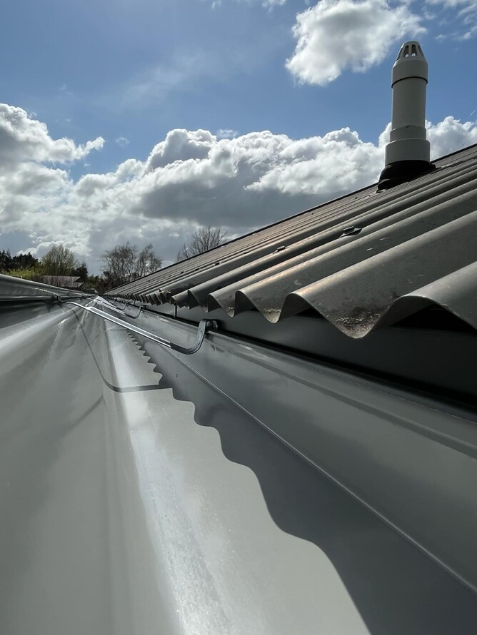 continuous spouting closeup te aroha