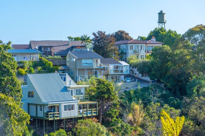 houses with trees close by