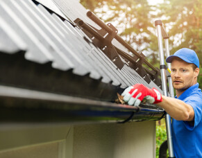 How to Protect Spouting and Guttering in Hamilton