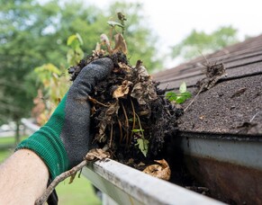 How To Clean Your Properties Gutters Safely