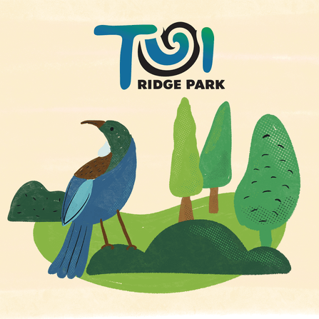 Tui Ridge Park - Christian Camp in rotorua illustration and website design