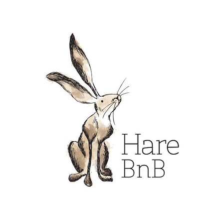Hare B n B | Air BnB branding and custom illustration