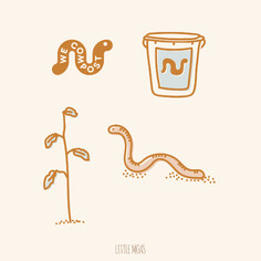 Composting and sustainability at Little Moas Auckland ELC | Natural + organic