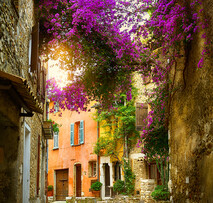 France Tours